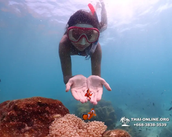 Underwater Odyssey snorkeling excursion in Pattaya Thailand photo 563