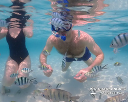 Underwater Odyssey snorkeling excursion in Pattaya Thailand photo 989