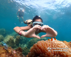 Underwater Odyssey snorkeling tour from Pattaya Thailand photo 14418
