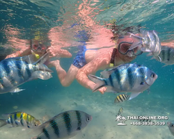 Underwater Odyssey snorkeling excursion Pattaya Thailand photo 11526