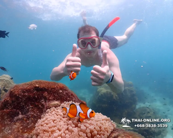 Underwater Odyssey snorkeling excursion in Pattaya Thailand photo 493