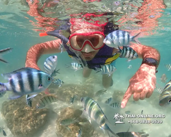 Underwater Odyssey snorkeling excursion Pattaya Thailand photo 19007