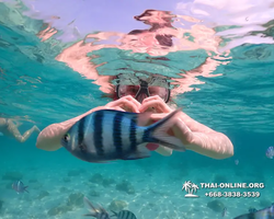 Underwater Odyssey snorkeling tour from Pattaya Thailand photo 14351