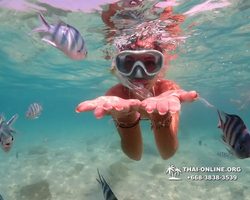 Underwater Odyssey snorkeling tour from Pattaya Thailand photo 14467