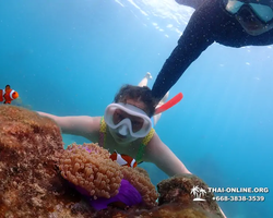 Underwater Odyssey snorkeling excursion in Pattaya Thailand photo 904