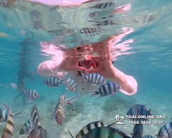 Underwater Odyssey snorkeling tour from Pattaya Thailand photo 14507