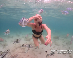 Underwater Odyssey snorkeling excursion in Pattaya Thailand photo 272