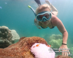 Underwater Odyssey snorkeling excursion Pattaya Thailand photo 19169