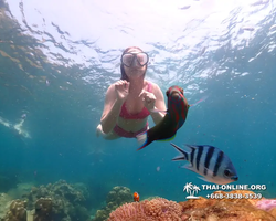 Underwater Odyssey snorkeling tour from Pattaya Thailand photo 14414