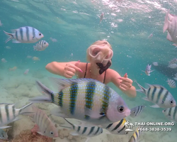 Underwater Odyssey snorkeling excursion in Pattaya Thailand photo 98