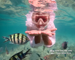 Underwater Odyssey snorkeling tour from Pattaya Thailand photo 14440