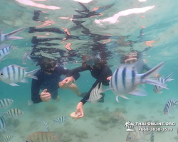 Underwater Odyssey snorkeling excursion in Pattaya Thailand photo 176