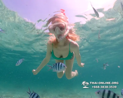 Underwater Odyssey snorkeling tour from Pattaya Thailand photo 18840