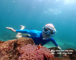 Underwater Odyssey snorkeling excursion Pattaya Thailand photo 14786