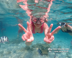 Underwater Odyssey snorkeling tour from Pattaya Thailand photo 14197