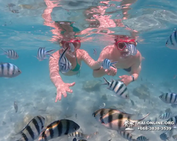 Underwater Odyssey snorkeling excursion in Pattaya Thailand photo 544