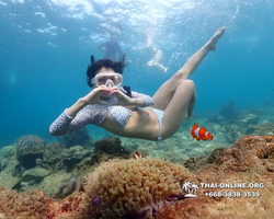 Underwater Odyssey snorkeling excursion Pattaya Thailand photo 11362