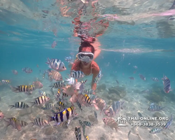 Underwater Odyssey snorkeling tour from Pattaya Thailand photo 14145