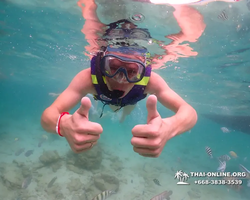 Underwater Odyssey snorkeling excursion in Pattaya Thailand photo 197