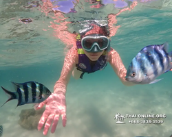 Underwater Odyssey snorkeling excursion Pattaya Thailand photo 19416