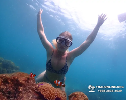 Underwater Odyssey snorkeling excursion in Pattaya Thailand photo 1034