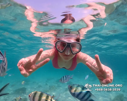 Underwater Odyssey snorkeling tour from Pattaya Thailand photo 14445