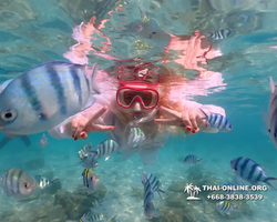 Underwater Odyssey snorkeling tour from Pattaya Thailand photo 14327
