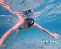 Underwater Odyssey snorkeling excursion Pattaya Thailand photo 11064