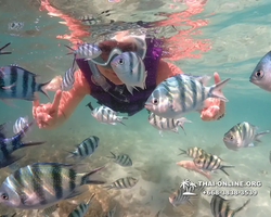 Underwater Odyssey snorkeling excursion Pattaya Thailand photo 19091