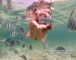 Underwater Odyssey snorkeling tour from Pattaya Thailand photo 18411