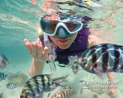 Underwater Odyssey snorkeling excursion Pattaya Thailand photo 19014