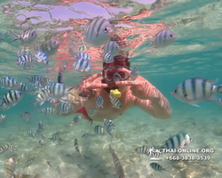 Underwater Odyssey snorkeling excursion Pattaya Thailand photo 14807