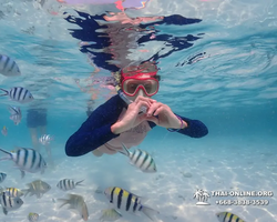 Underwater Odyssey snorkeling excursion in Pattaya Thailand photo 816