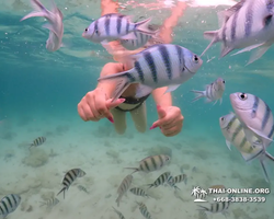 Underwater Odyssey snorkeling excursion in Pattaya Thailand photo 232