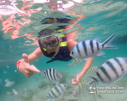 Underwater Odyssey snorkeling excursion in Pattaya Thailand photo 78