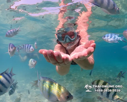Underwater Odyssey snorkeling excursion Pattaya Thailand photo 11176