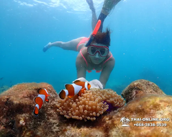 Underwater Odyssey snorkeling excursion in Pattaya Thailand photo 683