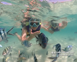 Underwater Odyssey snorkeling excursion Pattaya Thailand photo 19322