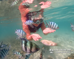 Underwater Odyssey snorkeling excursion Pattaya Thailand photo 19471