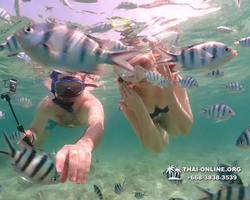 Underwater Odyssey snorkeling tour from Pattaya Thailand photo 18309