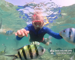 Underwater Odyssey snorkeling excursion Pattaya Thailand photo 14776