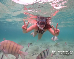 Underwater Odyssey snorkeling excursion in Pattaya Thailand photo 135