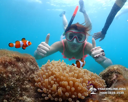 Underwater Odyssey snorkeling excursion in Pattaya Thailand photo 604