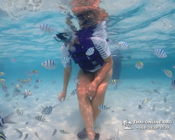 Underwater Odyssey snorkeling excursion in Pattaya Thailand photo 901