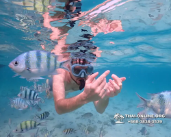 Underwater Odyssey snorkeling excursion Pattaya Thailand photo 11056