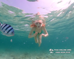Underwater Odyssey snorkeling tour from Pattaya Thailand photo 18830