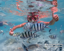 Underwater Odyssey snorkeling excursion in Pattaya Thailand photo 388