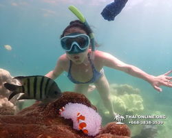 Underwater Odyssey snorkeling excursion Pattaya Thailand photo 19547