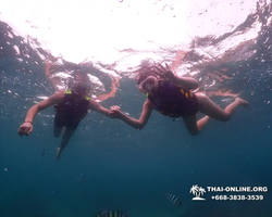 Underwater Odyssey snorkeling excursion in Pattaya Thailand photo 198