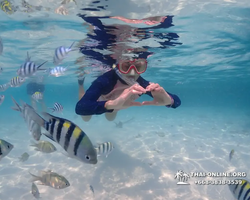 Underwater Odyssey snorkeling excursion in Pattaya Thailand photo 960